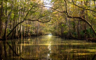 Tour the Choctawhatchee River